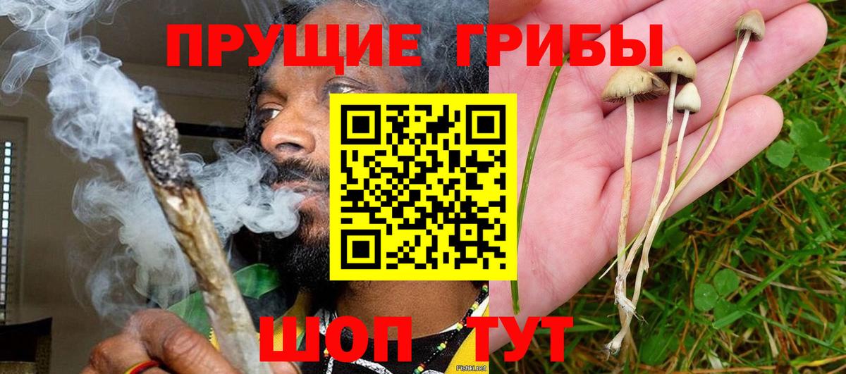 Меф мяу мяу Горно-Алтайск