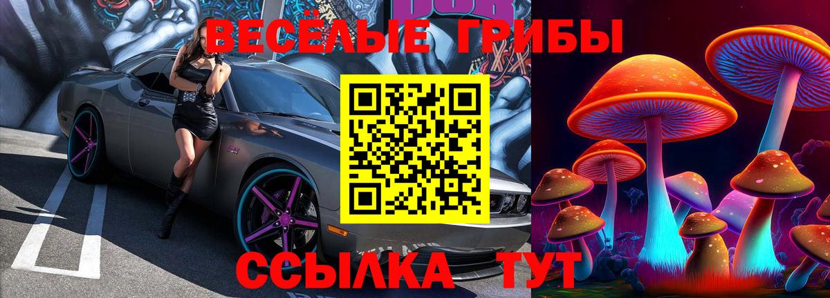 Горно-Алтайск  Галлюциногенные грибы Magic Shrooms  Галлюциногенные грибы GOLDEN TEACHER  Вход с VPN 